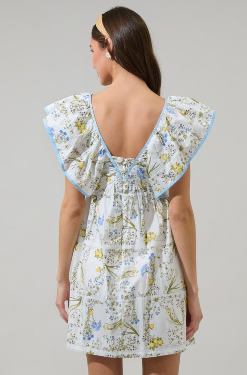 Connie Babydoll Mini Dress