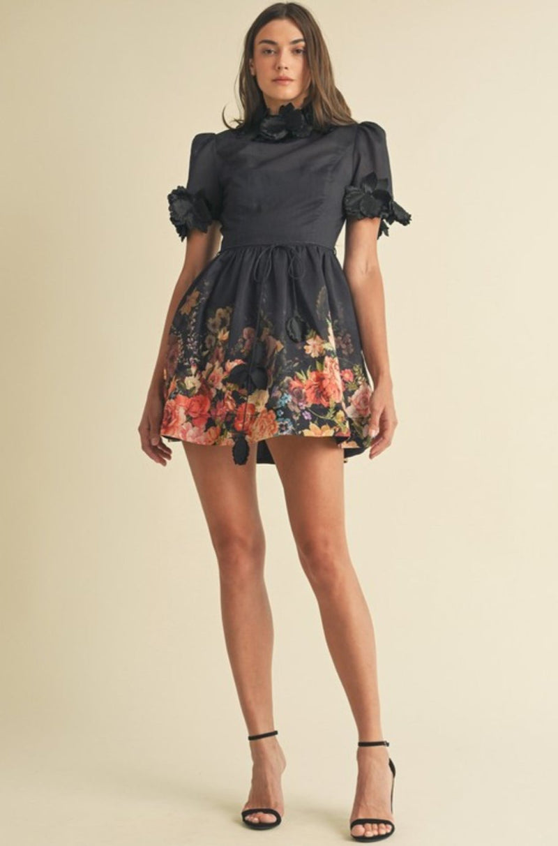 black cocktail dress, black mini dress, black dress, women's party dress, dresses, zimmermann dress