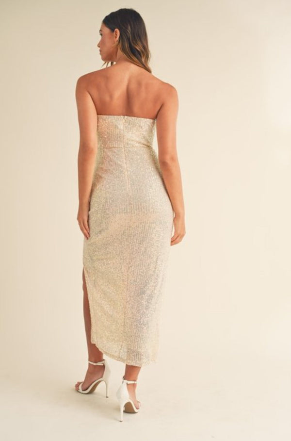 Sierra Sequin Champagne Dress
