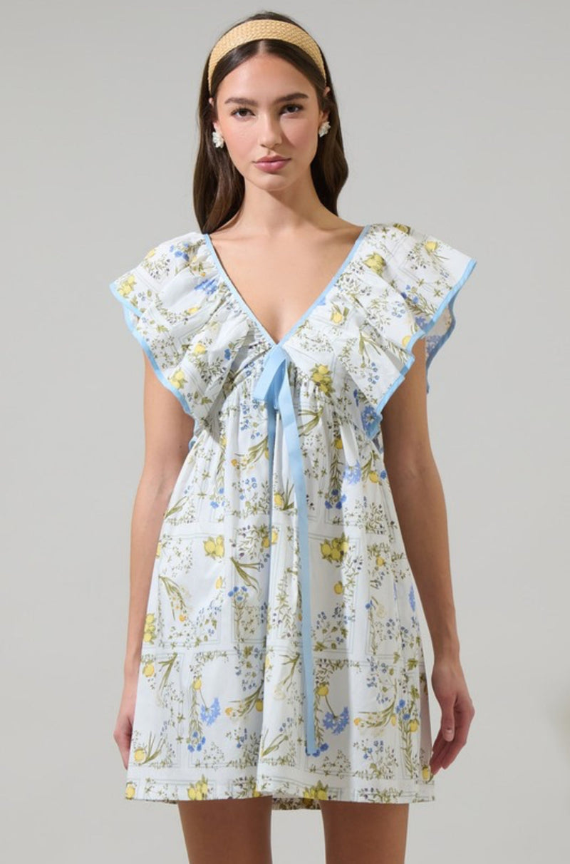 Connie Babydoll Mini Dress
