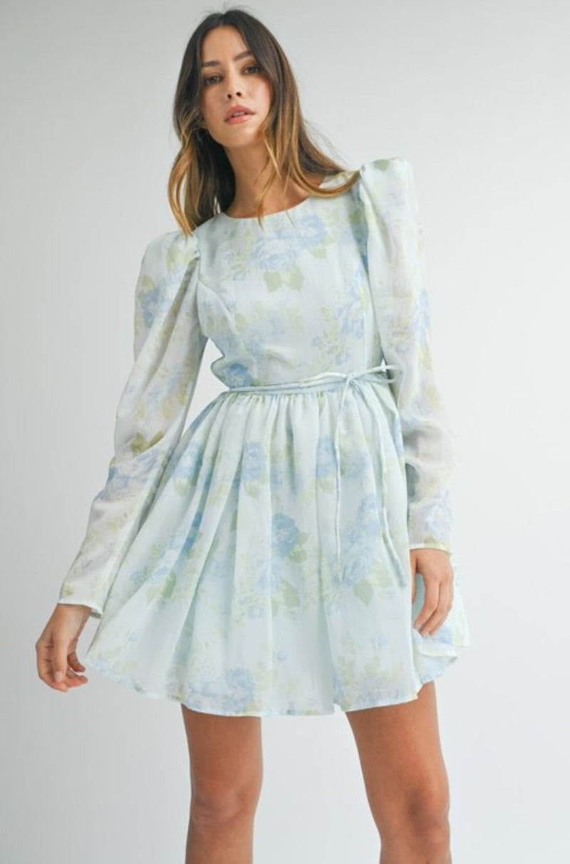 Milly Floral Blue Dress