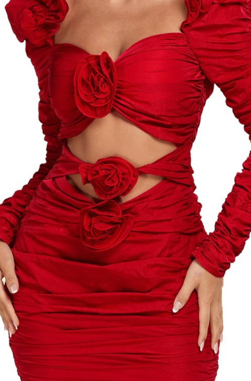 Red Rose Rita Mini Dress