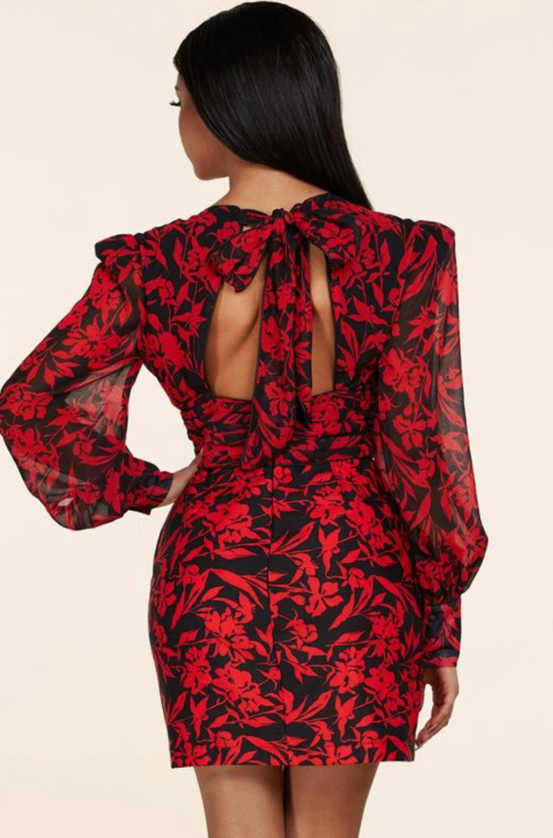 Serena Red Floral Dress