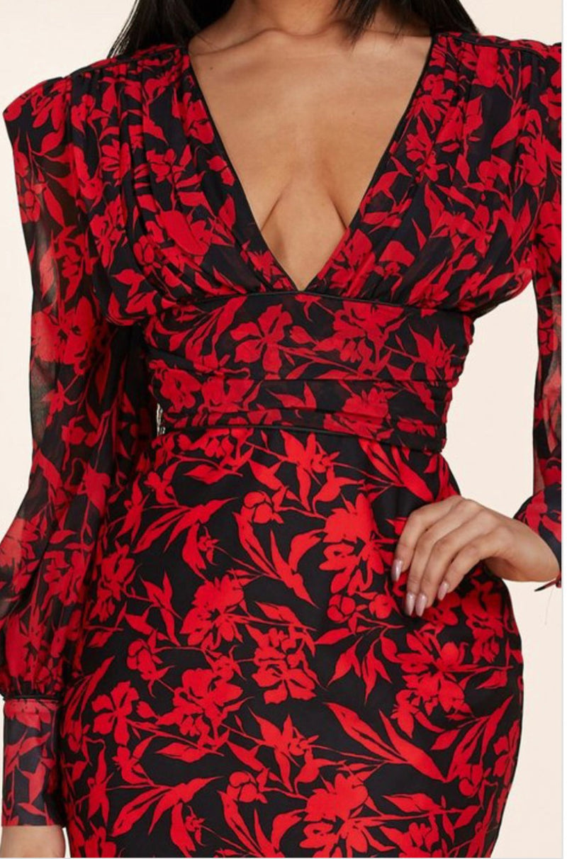Serena Red Floral Dress